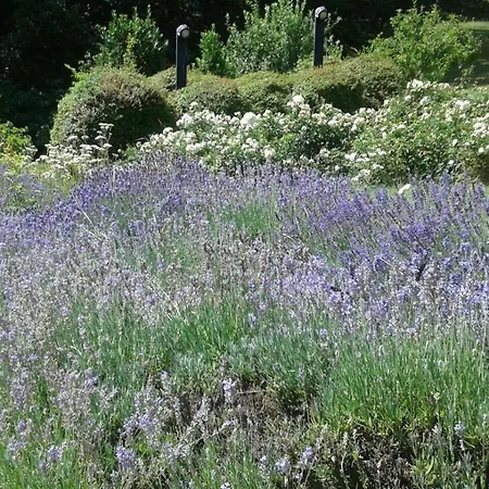 Le Noci Couette-café Bettola (Emilia-Romagna)