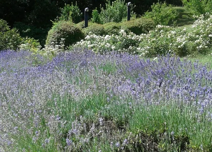 Le Noci Bed & Breakfast Bettola (Emilia-Romagna)